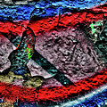 Graffiti Composition #20170328-01 by Wayne Higgs Graffiti Composition #20170328-01 by Wayne Higgs