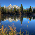 Grand Teton National Park Photograph by Brett Pelletier Grand Teton National Park Photograph by Brett Pelletier