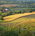Iowa - Grant Wood Country Photograph by Ron Long Iowa - Grant Wood Country Photograph by Ron Long