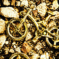 Gravel Bikes by Jorgo Photography - Wall Art Gallery Gravel Bikes by Jorgo Photography - Wall Art Gallery