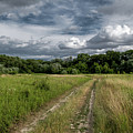 Gravel road through scenic landscape in a national park in Austria Photograph by Andreas Berthold Gravel road through scenic landscape in a national park in Austria Photograph by Andreas Berthold