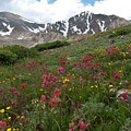 Gray's and Torreys Photograph by Cascade Colors Gray's and Torreys Photograph by Cascade Colors