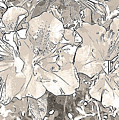 Grayscale Bevy Of Beauties With Sepia Tones by Marian Bell Grayscale Bevy Of Beauties With Sepia Tones by Marian Bell