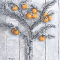 Grayscale Oranges Painting by Stephen Krieger Grayscale Oranges Painting by Stephen Krieger