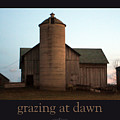 Grazing at Dawn by Tim Nyberg Grazing at Dawn by Tim Nyberg