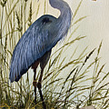 Great Blue Heron Splendor Painting by James Williamson Great Blue Heron Splendor Painting by James Williamson