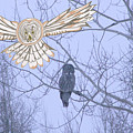 Great Gray Owl Together by Mary Mikawoz