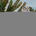 Great Horned Owl - Owl on the rocks Painting by Marilyn McNish Great Horned Owl - Owl on the rocks Painting by Marilyn McNish