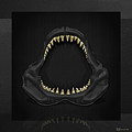 Great White Shark Jaws with Gold Teeth Photograph by Serge Averbukh Great White Shark Jaws with Gold Teeth Photograph by Serge Averbukh