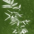 Green Bamboo 3- Art by Linda Woods Mixed Media by Linda Woods Green Bamboo 3- Art by Linda Woods Mixed Media by Linda Woods