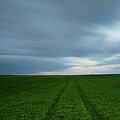 Green field and cloudy sky Photograph by Michalakis Ppalis Green field and cloudy sky Photograph by Michalakis Ppalis