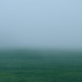 Green Mist Wonder by Carrie Godwin Green Mist Wonder by Carrie Godwin