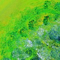 Green Peace Painting by Sarahleah Hankes Green Peace Painting by Sarahleah Hankes