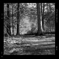 Ground Floor by Jean Macaluso Ground Floor by Jean Macaluso