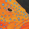 Grouper Head Painting by Anne Marie Brown Grouper Head Painting by Anne Marie Brown