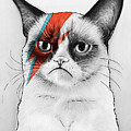 Grumpy Cat as David Bowie Drawing by Olga Shvartsur Grumpy Cat as David Bowie Drawing by Olga Shvartsur