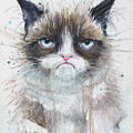 Grumpy Cat Watercolor Painting Painting by Olga Shvartsur Grumpy Cat Watercolor Painting Painting by Olga Shvartsur