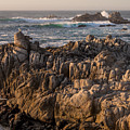 Guardians of the Shore Photograph by Derek Dean Guardians of the Shore Photograph by Derek Dean