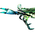 Half Crab - The Left Side Painting by Sharon Cummings Half Crab - The Left Side Painting by Sharon Cummings