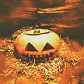 Halloween In Fall. Still Life Pumpkin Head by Jorgo Photography - Wall Art Gallery Halloween In Fall. Still Life Pumpkin Head by Jorgo Photography - Wall Art Gallery