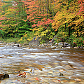 Hancock Branch - White Mountains New Hampshire by Erin Paul Donovan Hancock Branch - White Mountains New Hampshire by Erin Paul Donovan