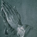 Hands Of An Apostle by Albrecht Durer Hands Of An Apostle by Albrecht Durer