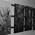 Hanging Art by Rob Hans Hanging Art by Rob Hans