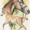 Hanoverian by Barbara Keith Hanoverian by Barbara Keith