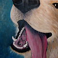 Happy Golden Retriever by Nancy Mueller Happy Golden Retriever by Nancy Mueller