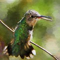 Happy Hummingbird Painting by Tina LeCour Happy Hummingbird Painting by Tina LeCour