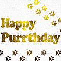 Happy Purrday Gold by Sabine Jacobs Happy Purrday Gold by Sabine Jacobs