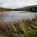 Harlow reservoir. Photograph by Elena Perelman Harlow reservoir. Photograph by Elena Perelman