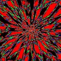 Harmony 37 by Will Borden Harmony 37 by Will Borden