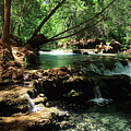 Havasu Creek In Campground Photograph by Kathy McClure Havasu Creek In Campground Photograph by Kathy McClure