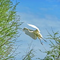 Heading Home by Mike Covington