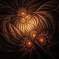 Heavenly Onion by Amanda Moore Heavenly Onion by Amanda Moore