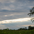 Heavenly Rays Photograph by Holden The Moment Heavenly Rays Photograph by Holden The Moment