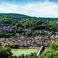 Heidelberg Germany Photograph by David Morefield Heidelberg Germany Photograph by David Morefield