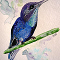hHUMMINGBIRD 2 by Karin Dawn Kelshall- Best hHUMMINGBIRD 2 by Karin Dawn Kelshall- Best