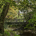 Hidden Bridge at Offas Dyke Photograph by Spikey Mouse Photography Hidden Bridge at Offas Dyke Photograph by Spikey Mouse Photography
