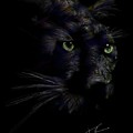 Hidden Cat Digital Art by Darren Cannell Hidden Cat Digital Art by Darren Cannell