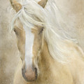 Spun Sugar Painting by Colleen Taylor Spun Sugar Painting by Colleen Taylor