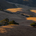 Hill Top Ranch Photograph by Derek Dean Hill Top Ranch Photograph by Derek Dean
