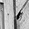 Hinge Photograph by Curtis J Neeley Jr Hinge Photograph by Curtis J Neeley Jr