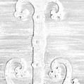 Hinged1 Photograph by Merle Grenz Hinged1 Photograph by Merle Grenz