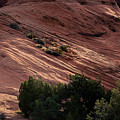 Splashes of Sunlight Photograph by Jim Garrison Splashes of Sunlight Photograph by Jim Garrison