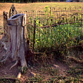 Hogeye Grave Site Photograph by Curtis J Neeley Jr Hogeye Grave Site Photograph by Curtis J Neeley Jr
