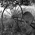 Hogeye Hayrake Photograph by Curtis J Neeley Jr Hogeye Hayrake Photograph by Curtis J Neeley Jr