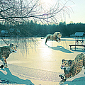 Holidays On Ice by Jutta Maria Pusl Holidays On Ice by Jutta Maria Pusl