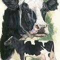 Holstein by Barbara Keith Holstein by Barbara Keith